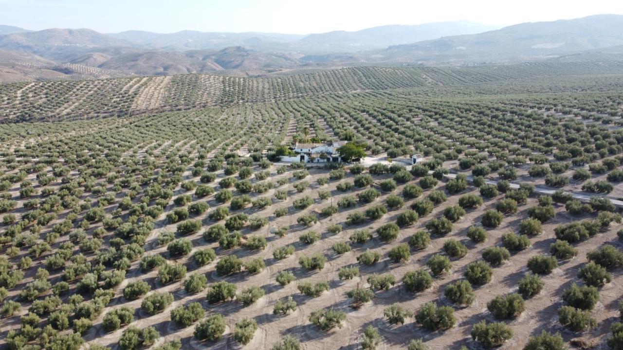 Casa De Familia Cortijo La Cubertilla Fuente-Tojar Esterno foto